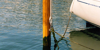 Qualit&agrave; palimar