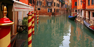 Qualit&agrave; palimar