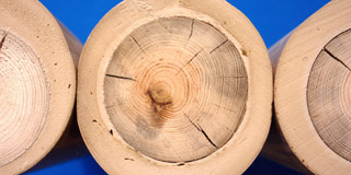 Qualit&agrave; palimar